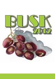 Hent BUSK materialet for 2012 nu - BUSK gudstjenester