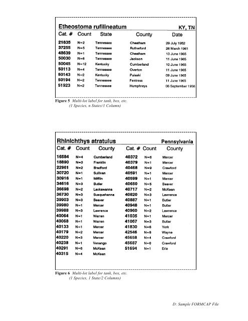 Reference Manual