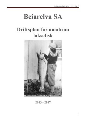 Driftplan for anadrome laksefisk 2013-2017 - Beiarelva.com