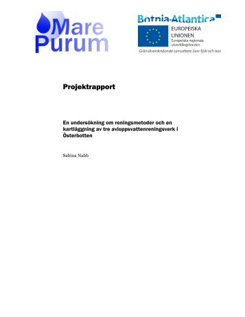 Projektrapport - Mare Purum