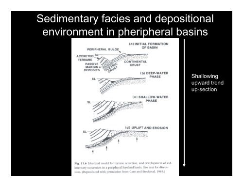 Tectonics and sedimentation