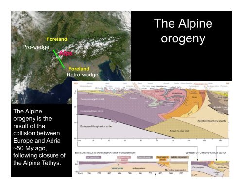 Tectonics and sedimentation