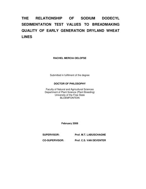 THE RELATIONSHIP OF SODIUM DODECYL SEDIMENTATION ...