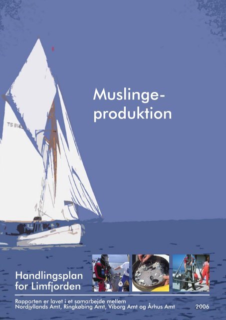 Muslingeproduktion - Limfjorden