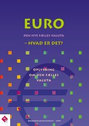 PDF version af publikationen