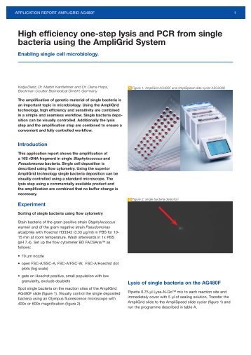 High efficiency one-step lysis and PCR from single bacteria using ...