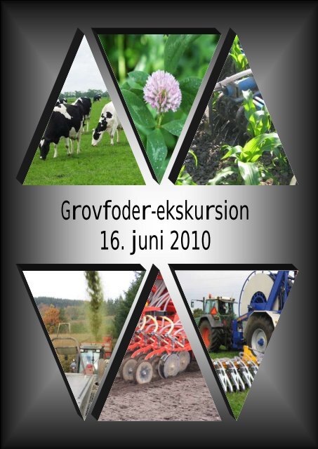 Grovfoder-ekskursion 16. juni 2010 - LandbrugsInfo