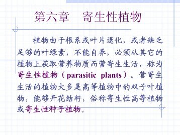 第六章寄生性植物