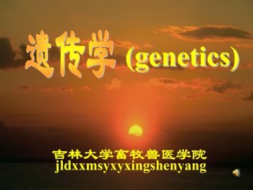 第五章遗传的基本定律与扩展（四）