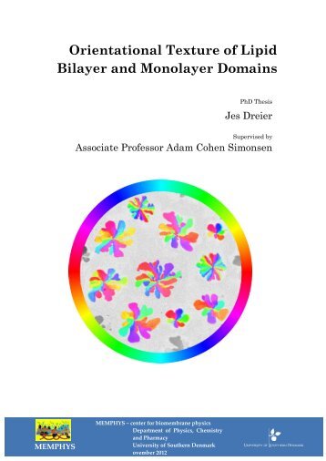 Orientational Texture of Lipid Bilayer and Monolayer ... - Memphys