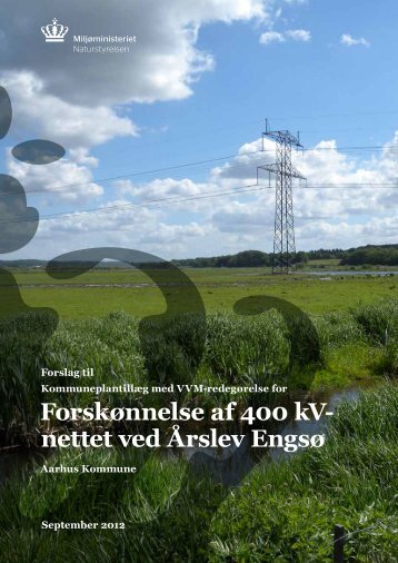 Forskønnelse af 400 kV- nettet ved Årslev Engsø
