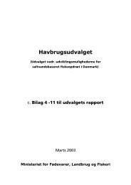 Havbrugsudvalget rapport bilag 2003.pdf - Fødevareministeriet