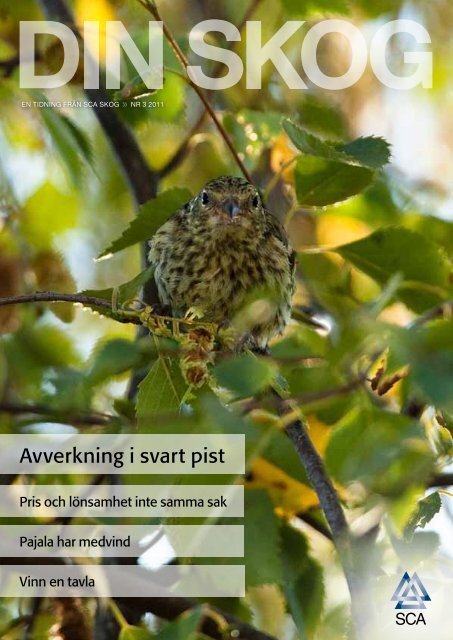 Avverkning i svart pist - SCA