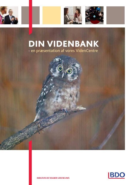 din videnbanK - BDO