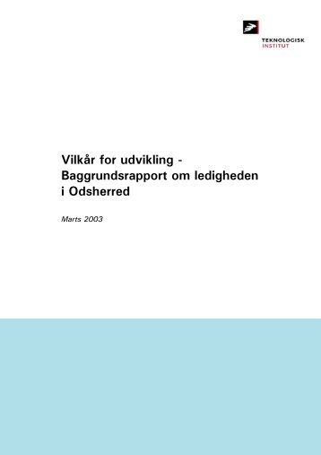 Baggrundsrapport om ledigheden i Odsherred - Teknologisk Institut