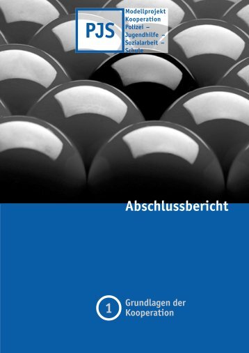 Abschlussbericht " Grundlagen der Kooperation" - Jugendamt der ...