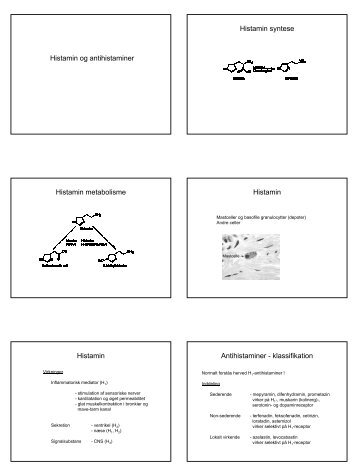 Histamin og antihistaminer Histamin syntese Histamin metabolisme ...