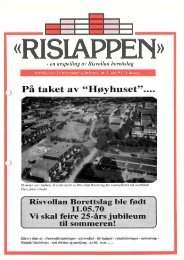 Rislappen 1994 nr. 3 - Risvollan Borettslag