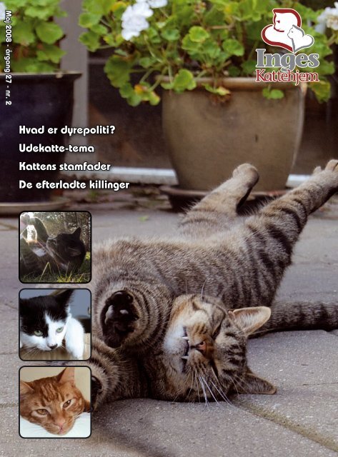 Maj 2008 - Inges Kattehjem