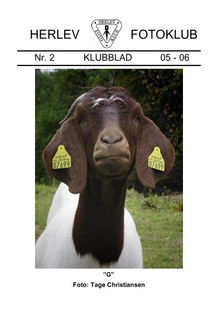 Klubblad Nr.2 05-06 - Herlev Fotoklub