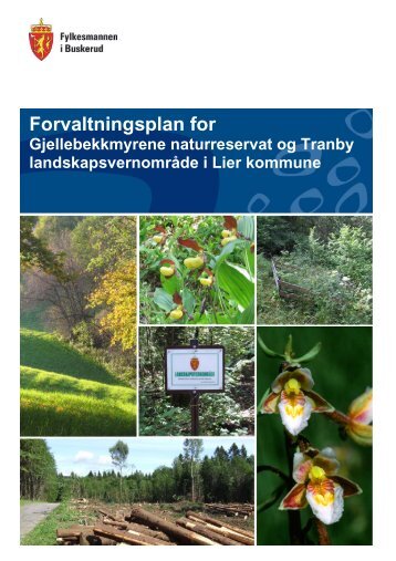 Forvaltningsplan for Gjellebekkmyrene ... - Fylkesmannen.no