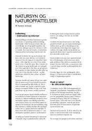 NATURSYN OG NATUROPFATTELSER - Naturrådet