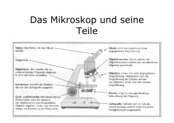 Das Mikroskop und seine Teile - kantik