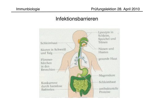 Infektionsbarrieren - kantik