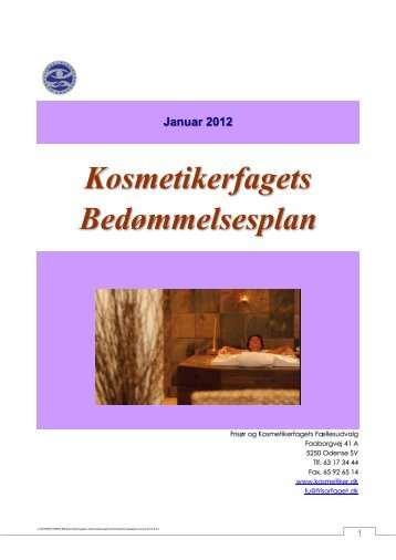 bedømmelsesplan januar 2012.pdf - Frisør & Kosmetikerfagets ...