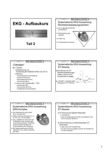 EKG - Aufbaukurs