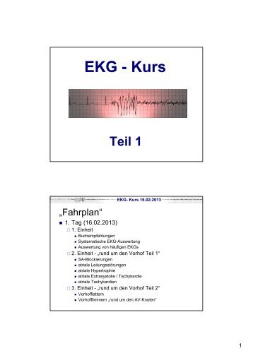 EKG - Kurs