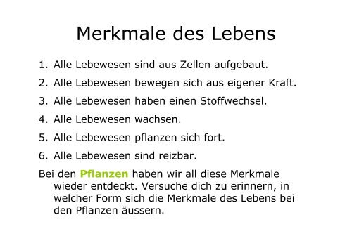 Merkmale Des Lebens Klasse 5 Pflanzen - kantik