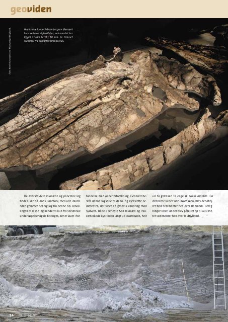 danmarks geologiske udvikling fra 65 til 2,6 mio. år før nu