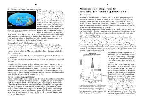 Henning Haack. Meteoritter. Tidskapsler fra - Stenvennerne