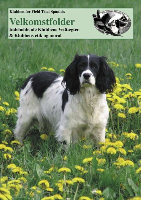 Velkomstfolder - FTSpaniels