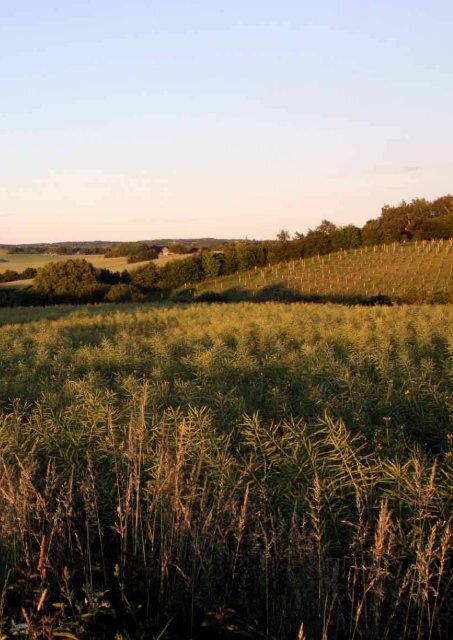 Hurtig levering fra eget lager - Mårslet Egnsarkiv