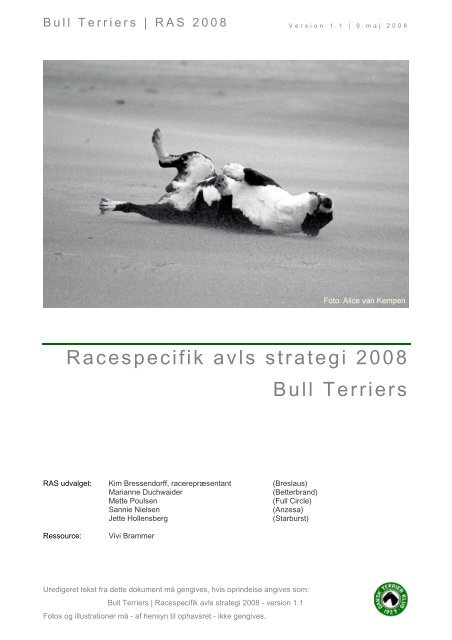 RAS uden bilag - Engelsk Bull Terrier