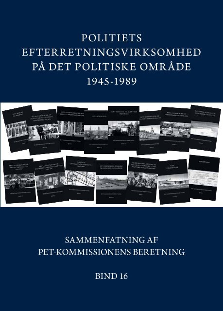 Sammenfatning af pet-kommissonens beretning (bind 16)