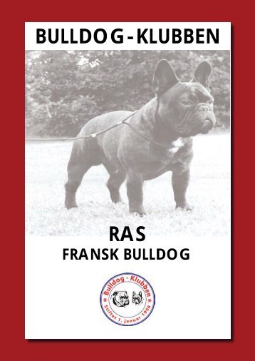 BULLDOG-KLUBBEN RAS - Fransk Bulldog