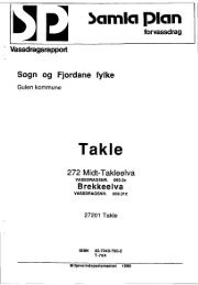 272 Midt-Takleelva, Takle