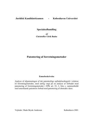 Speciale: Patentering af Forretningsmetoder - Christoffer Badse