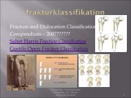 Frakturklassifikation, erfaring med systematisk klassifikation, dansk ...