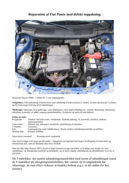 Reparation af Fiat Punto med defekt toppakning - Holm ...