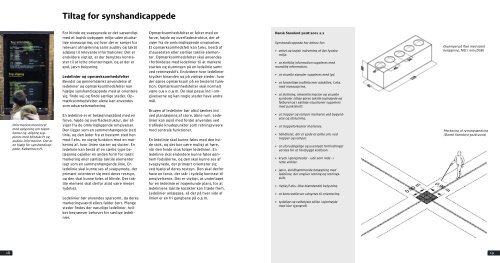 Praktiske angivelser for handicapløsninger - DSB