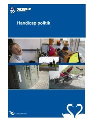 Handicappolitikken - Fredensborg Kommune
