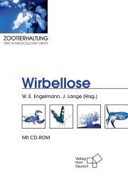 Wirbellose