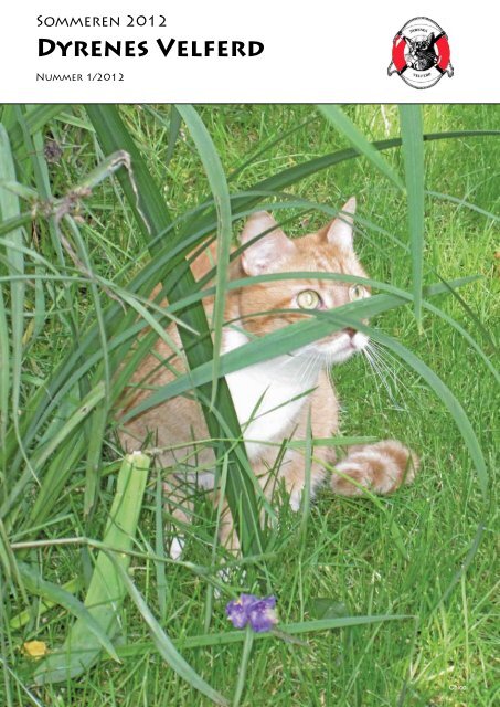 Her kan du lese vårt Sommerblad fra år 2012 - Dyrenes Velferd