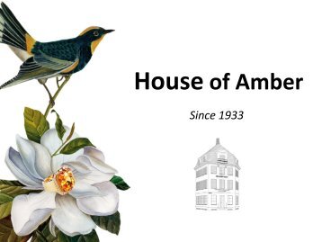 We want to be the leading amber jewelry brand in Northern Europe ...