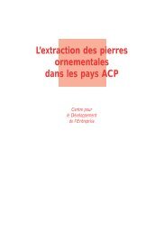 L'extraction des pierres ornementales dans les pays ACP - CDE