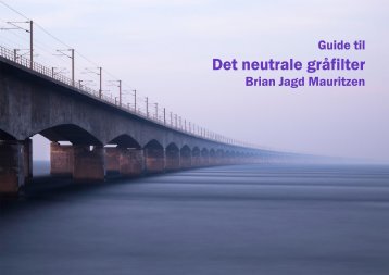 Det neutrale gråfilter - Maufoto